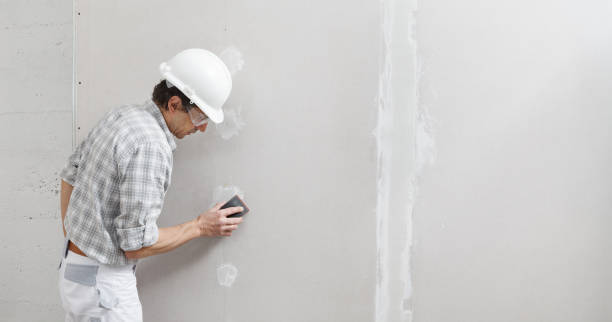 Best Black Mold Removal  in Henrietta, TX