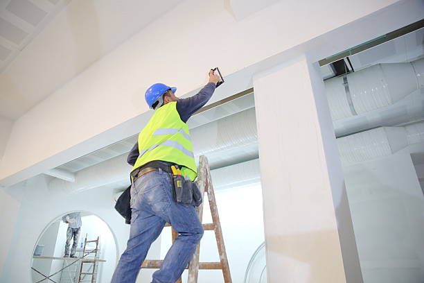Professional Mold Removal in Henrietta, TX